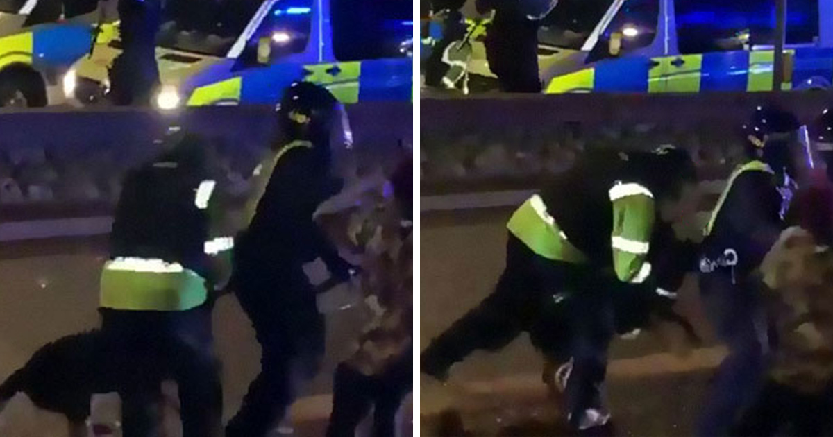 « Il a fait ce qu’on lui a appris » : un chien policier mord un policier qui brutalise un manifestant
