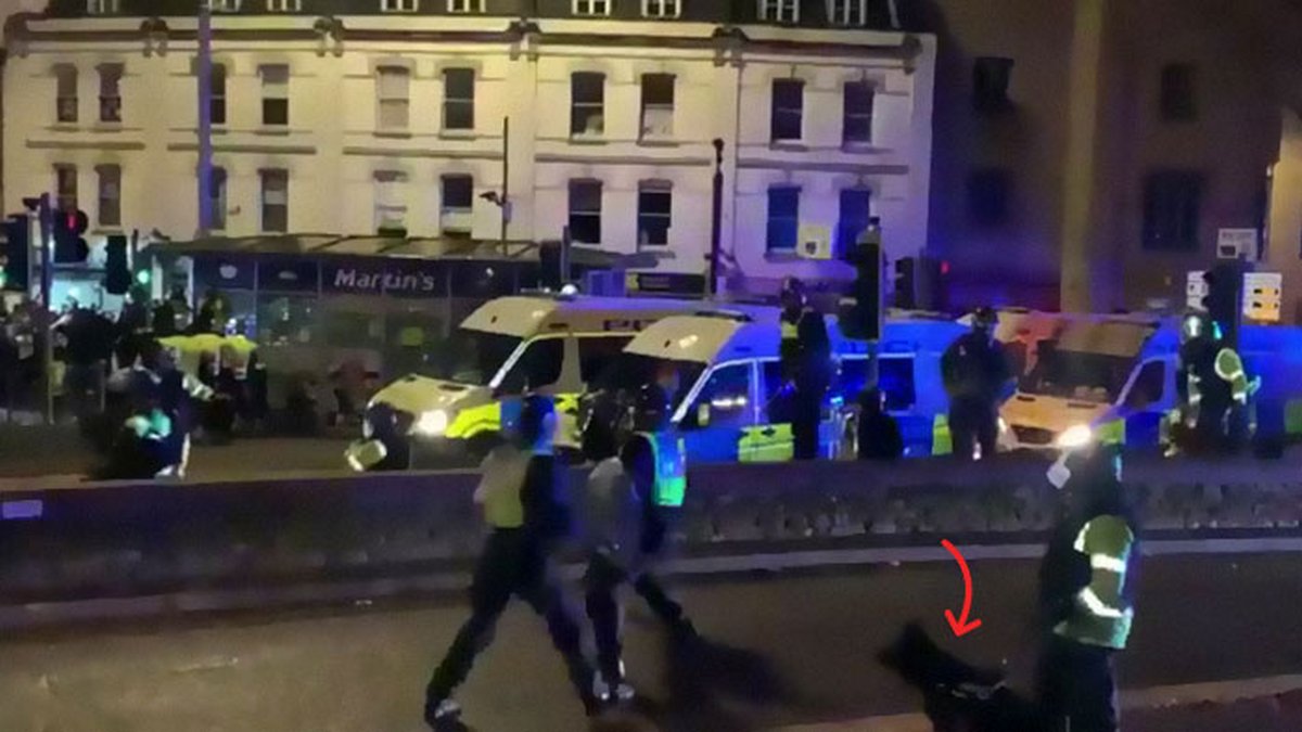 « Il a fait ce qu’on lui a appris » : un chien policier mord un policier qui brutalise un manifestant