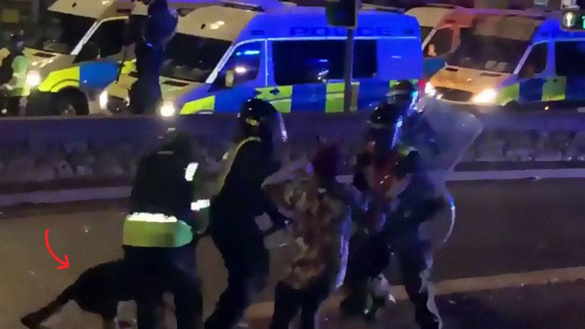 « Il a fait ce qu’on lui a appris » : un chien policier mord un policier qui brutalise un manifestant