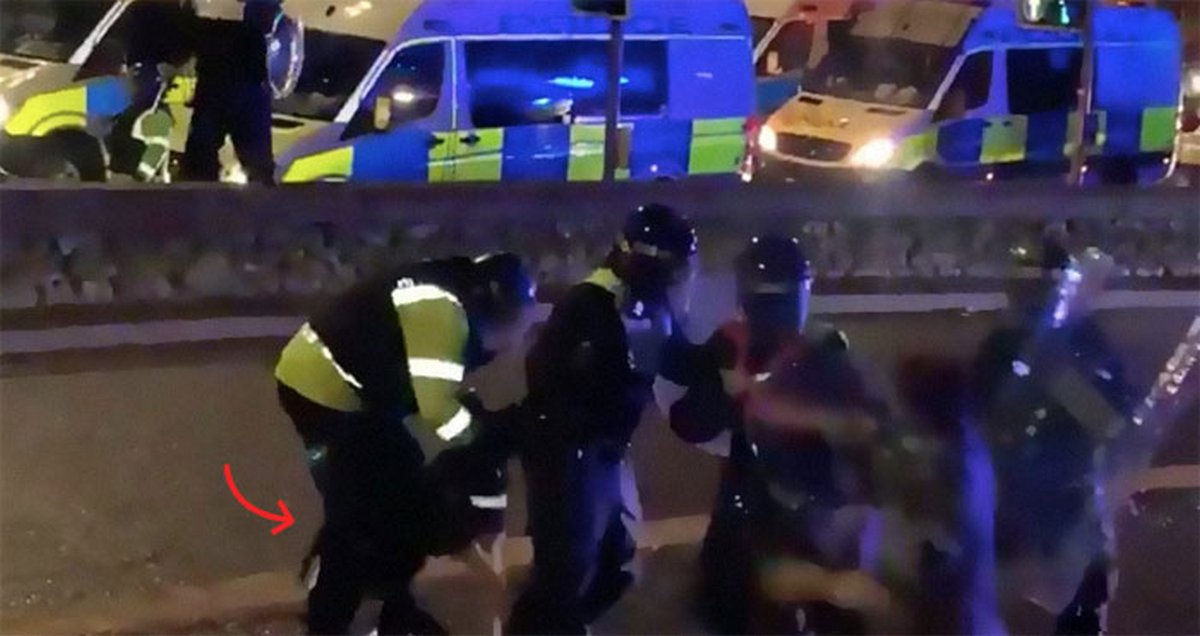 « Il a fait ce qu’on lui a appris » : un chien policier mord un policier qui brutalise un manifestant