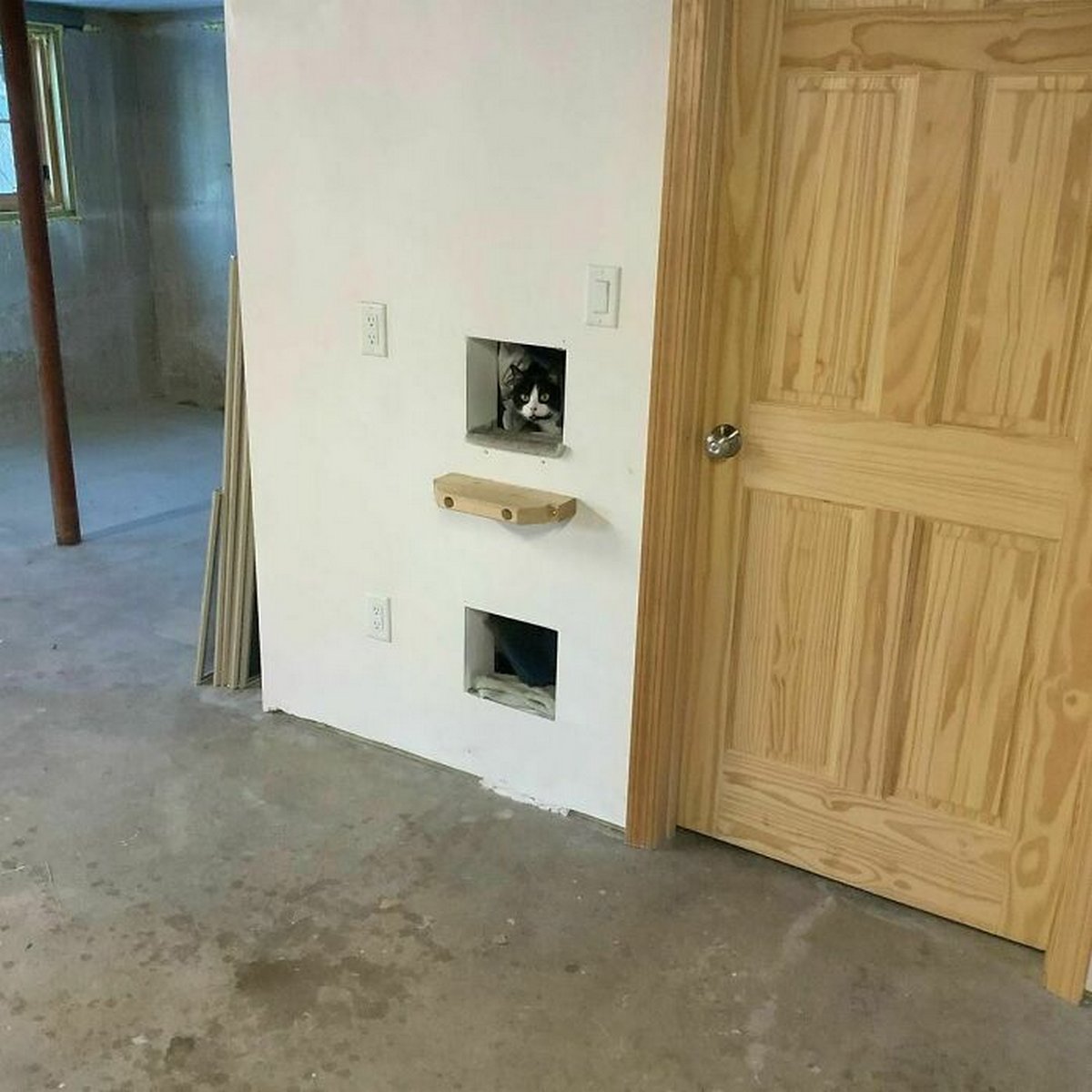 Ces inspecteurs de maisons ont découvert des choses si étranges qu’ils n’ont pu s’empêcher de prendre une photo