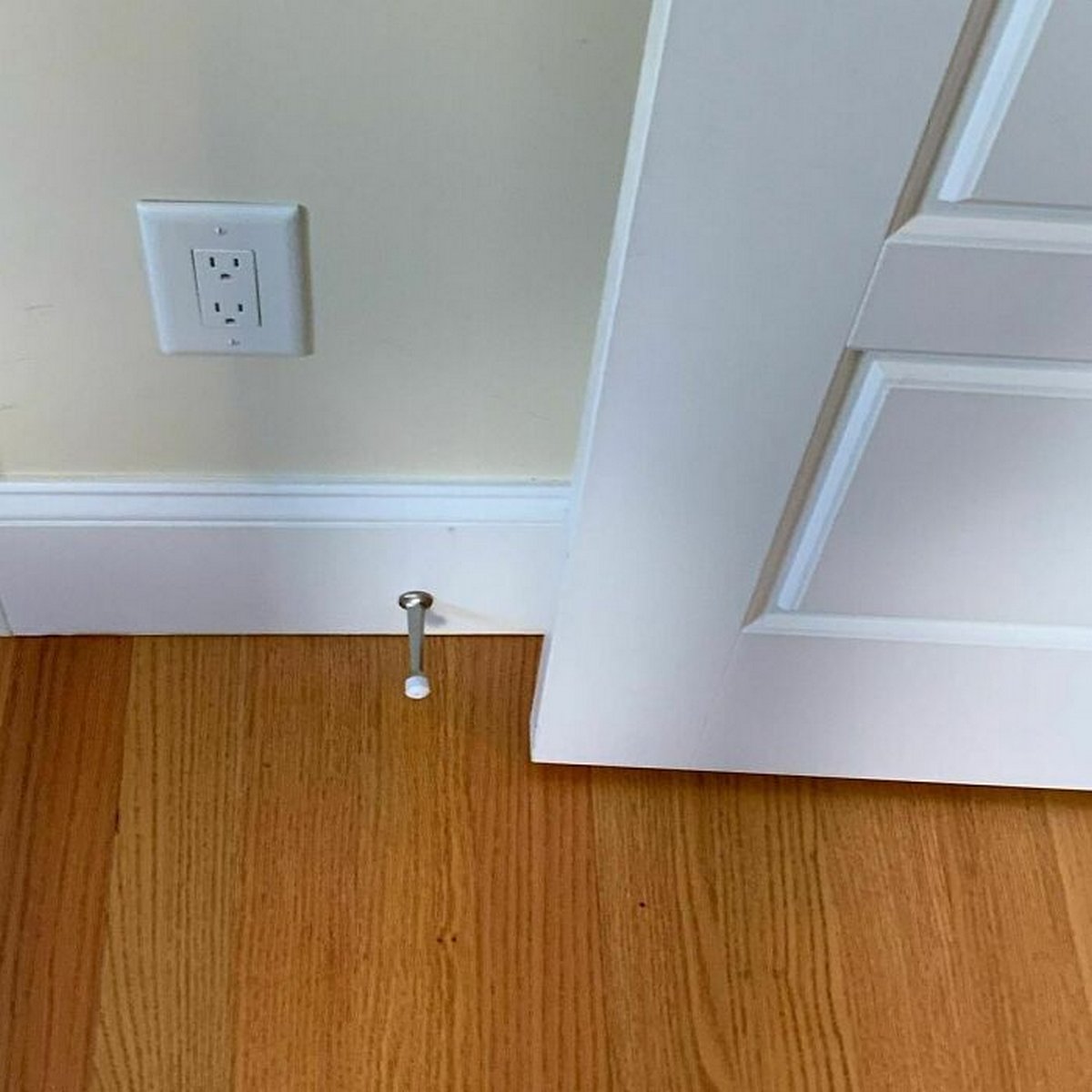 Ces inspecteurs de maisons ont découvert des choses si étranges qu’ils n’ont pu s’empêcher de prendre une photo