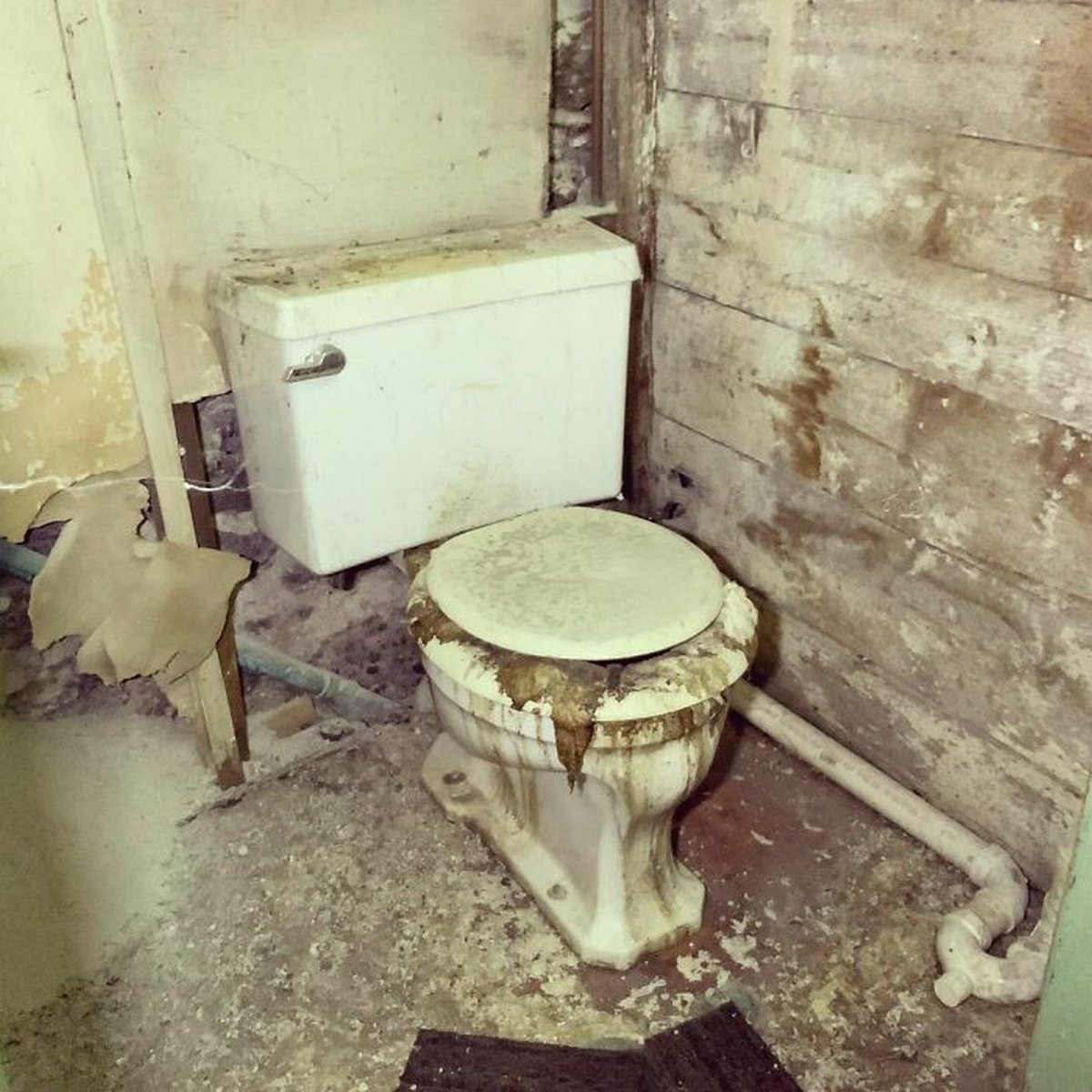 Ces inspecteurs de maisons ont découvert des choses si étranges qu’ils n’ont pu s’empêcher de prendre une photo