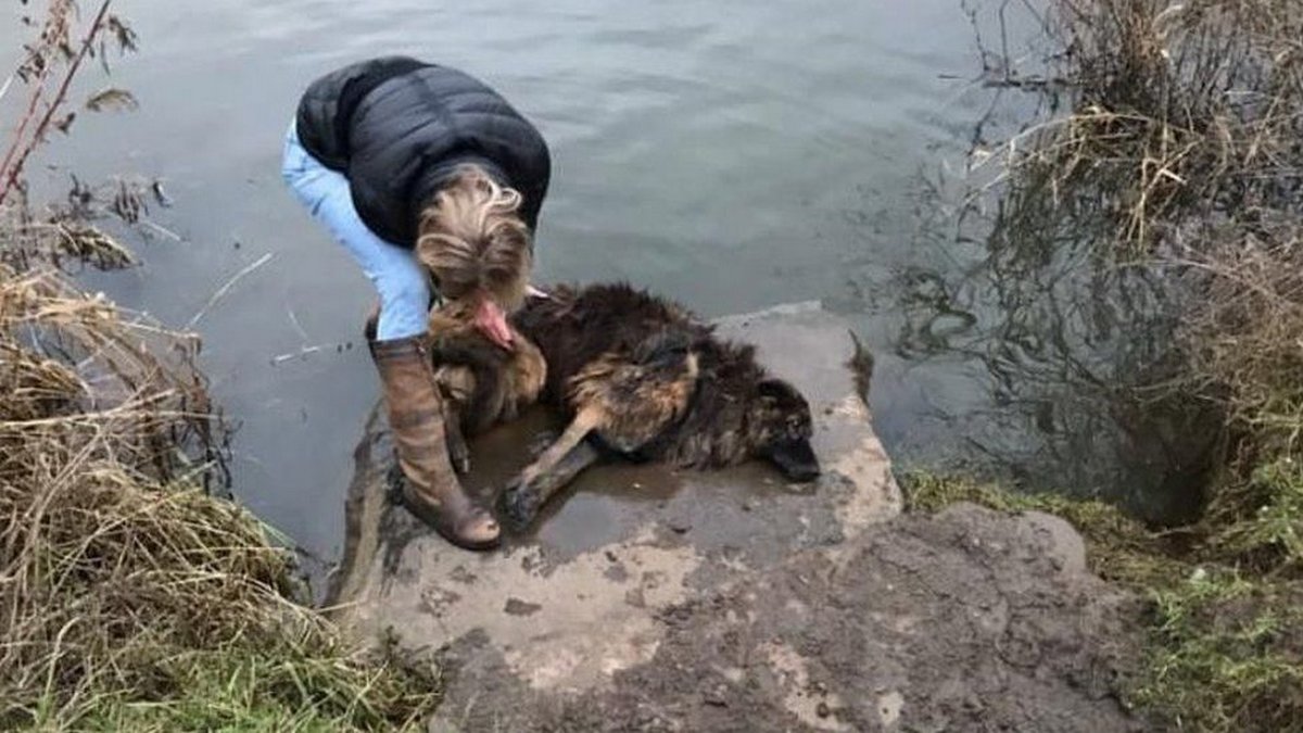 Une femme évite la prison après avoir tenté de noyer sa chienne dans une rivière gelée avec une pierre attachée à sa laisse