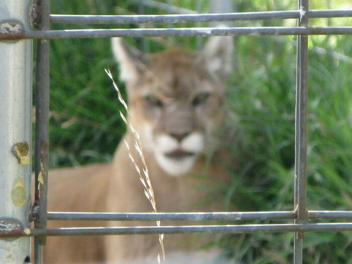 Ce groupe Facebook se consacre aux photos d’animaux sauvages pourries et elles sont si nulles qu’elles sont hilarantes ! Par Janvier Doyon Photos-animaux-sauvages-pourries-droles-023