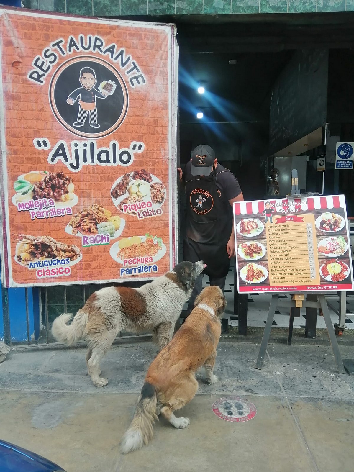 Ce gentil restaurateur prépare des repas gratuits pour tous les chiens errants qui visitent son restaurant