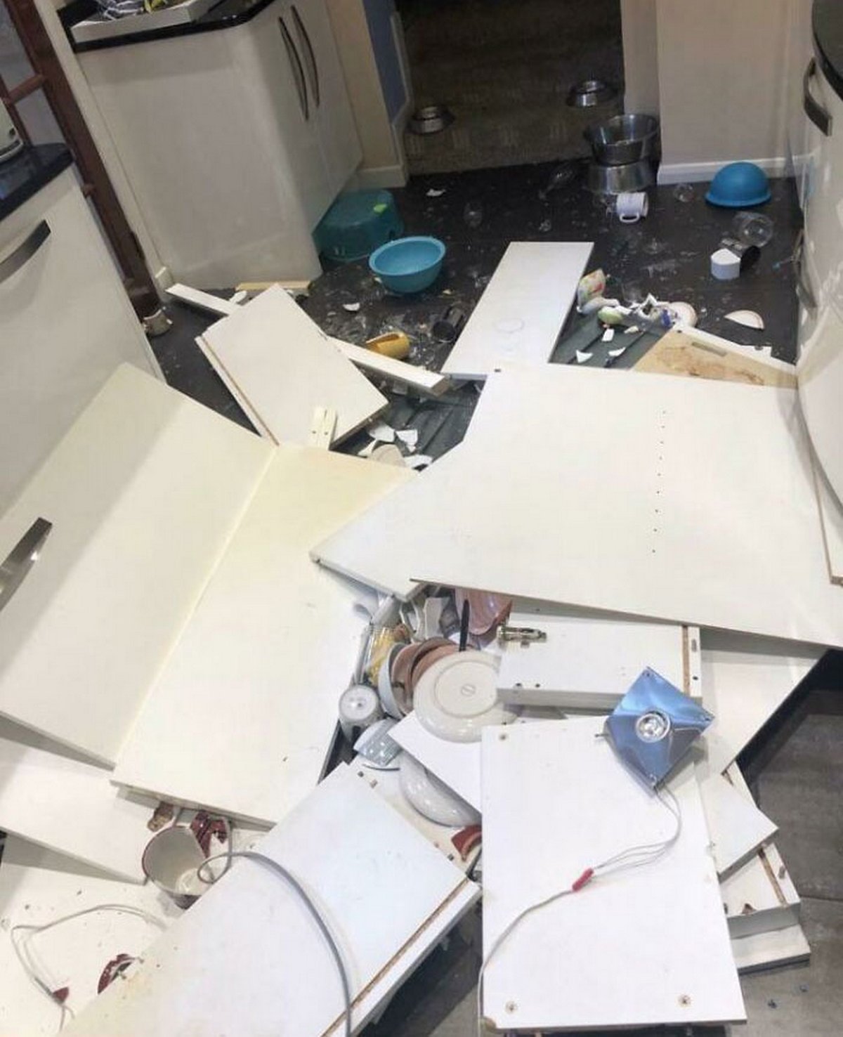 22 fois où des propriétaires de maison ont vu leur journée gâchée