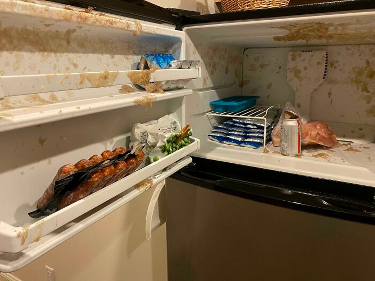 22 fois où des propriétaires de maison ont vu leur journée gâchée