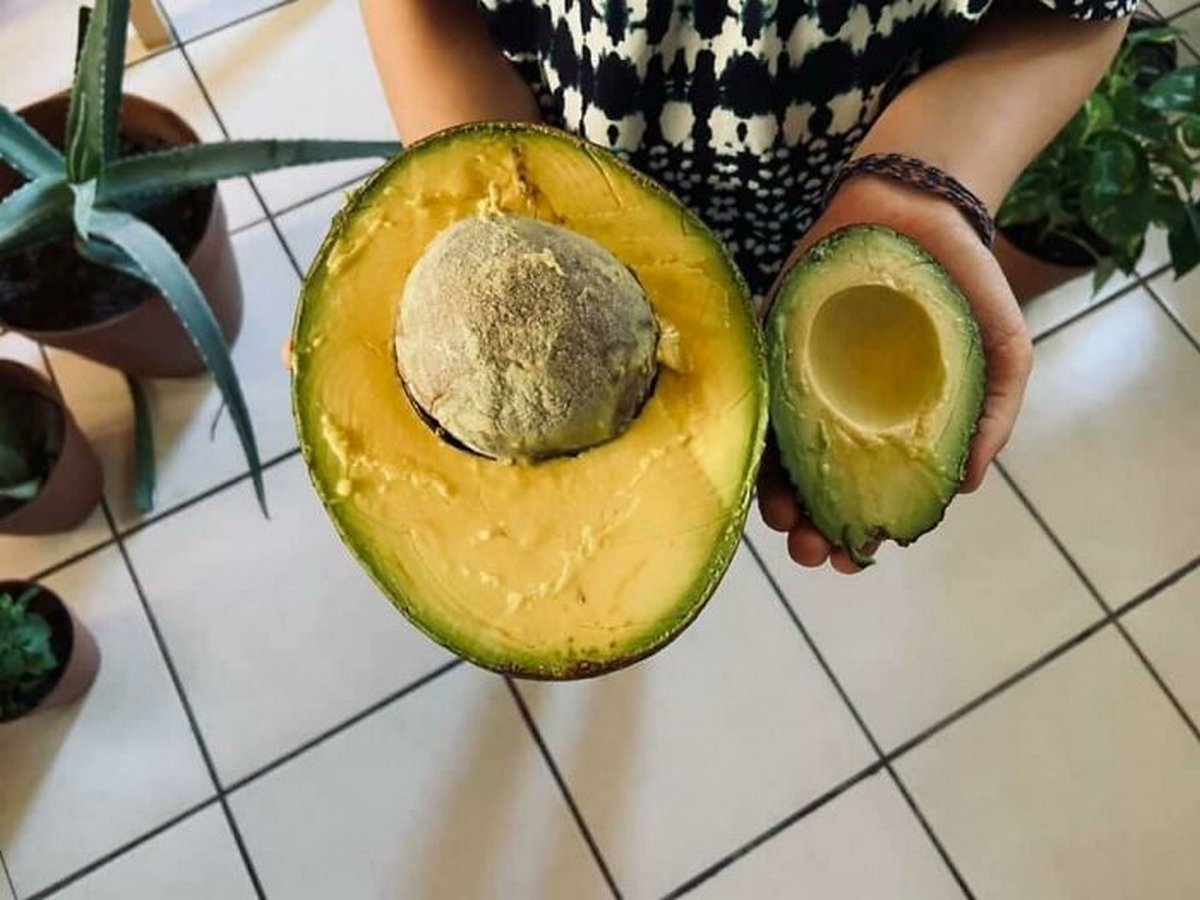 Ces gens ont vu quelque chose de si énorme qu’ils ont décidé de partager la photo dans ce groupe en ligne