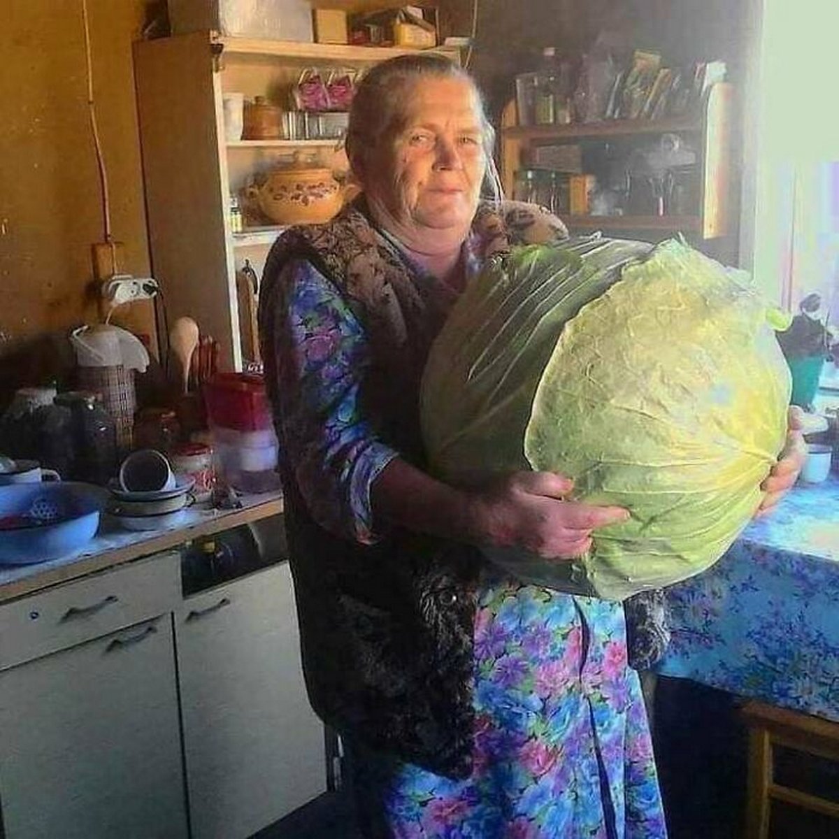 Ces gens ont vu quelque chose de si énorme qu’ils ont décidé de partager la photo dans ce groupe en ligne