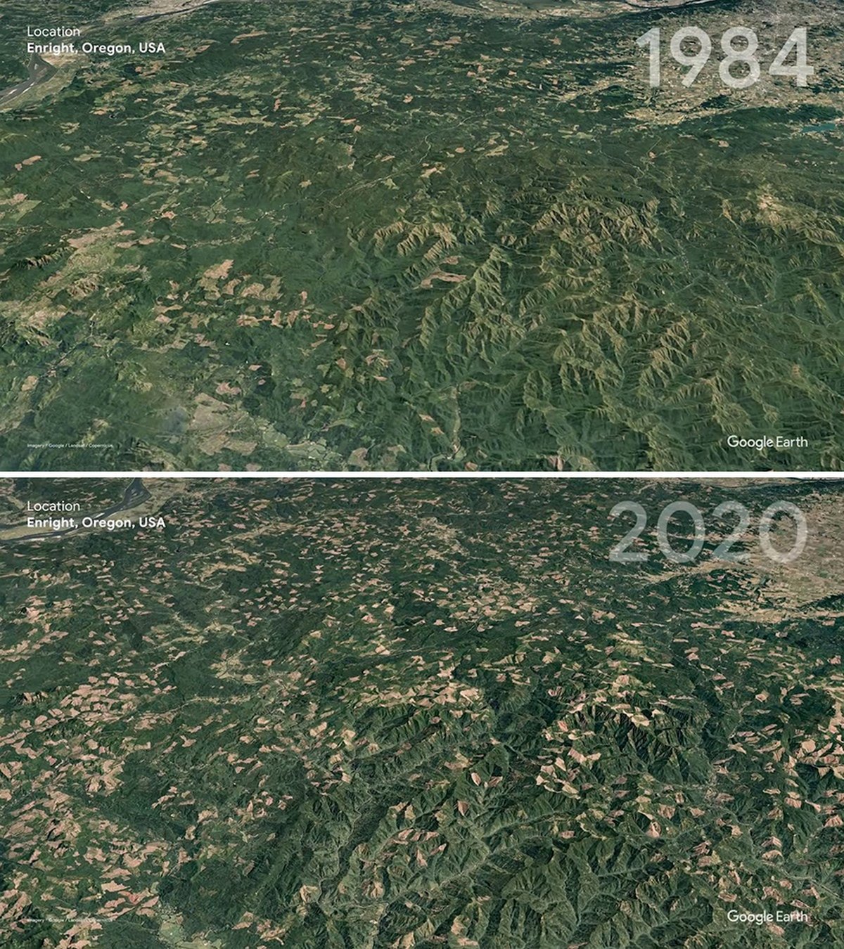Google Earth présente 16 images satellites qui montrent la triste différence que les gens ont faite dans le monde