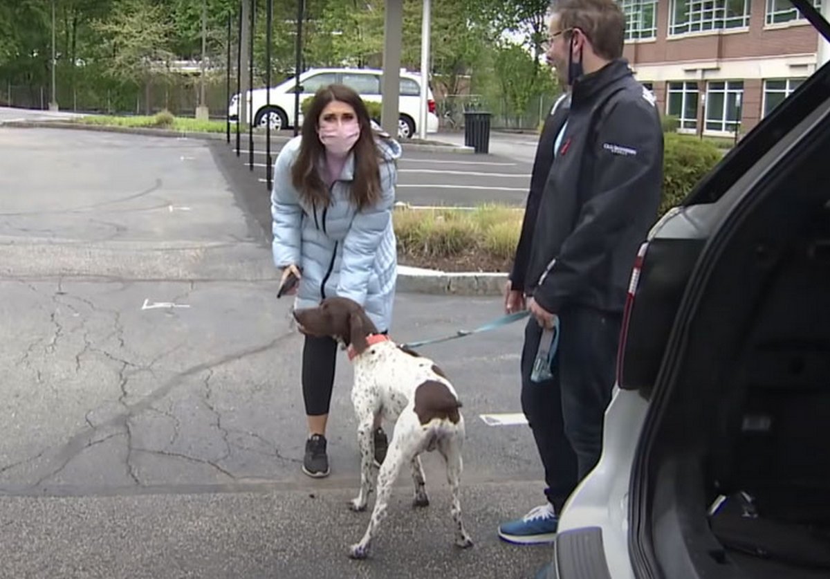 Un journaliste enquêtant sur un chiot volé voit le même chien dans la rue et se rend compte qu'un ravisseur le promène