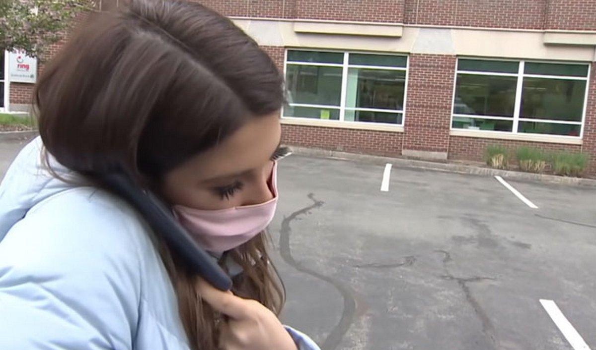Un journaliste enquêtant sur un chiot volé voit le même chien dans la rue et se rend compte qu'un ravisseur le promène