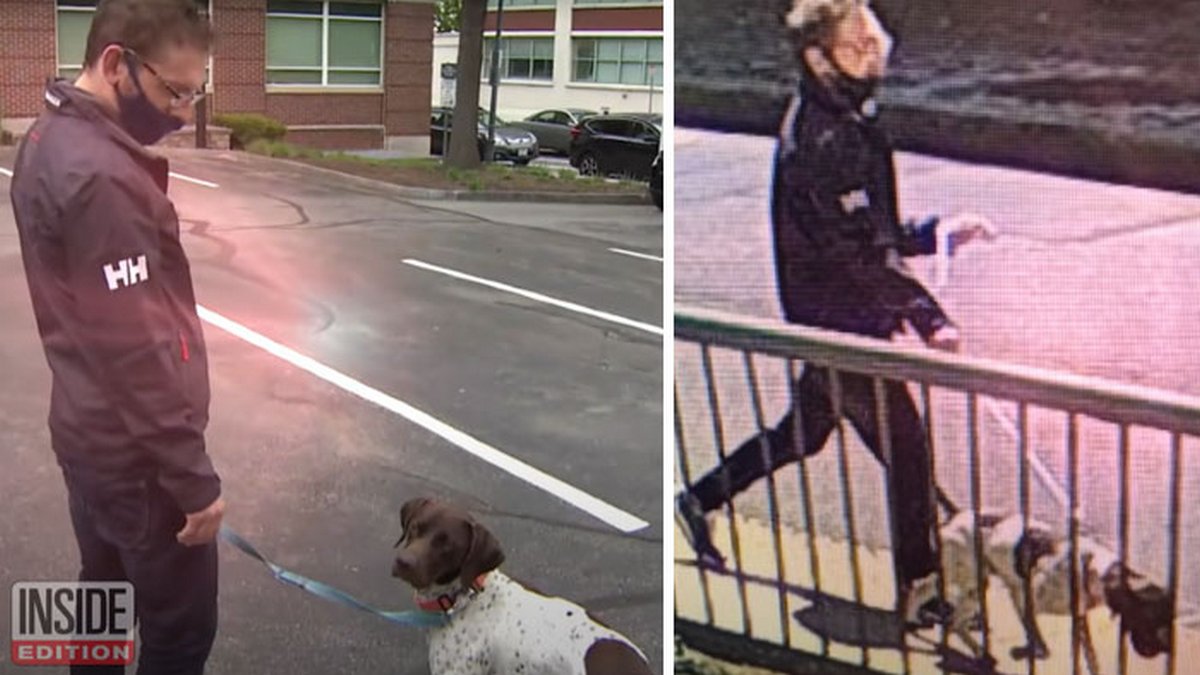 Un journaliste enquêtant sur un chiot volé voit le même chien dans la rue et se rend compte qu'un ravisseur le promène