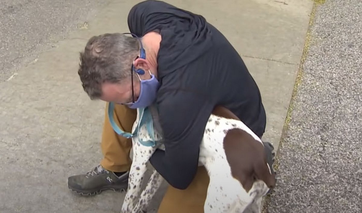 Un journaliste enquêtant sur un chiot volé voit le même chien dans la rue et se rend compte qu'un ravisseur le promène