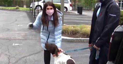 Une reporter qui enquête sur un chiot volé voit le même chien dans la rue et réalise que c’est le kidnappeur qui le promène