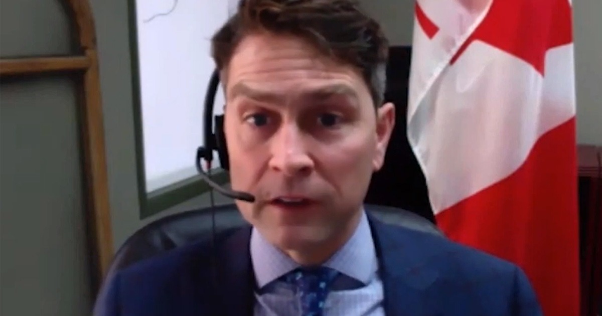 Un député démissionne après avoir uriné « dans une tasse à café », nu, lors d’une réunion Zoom