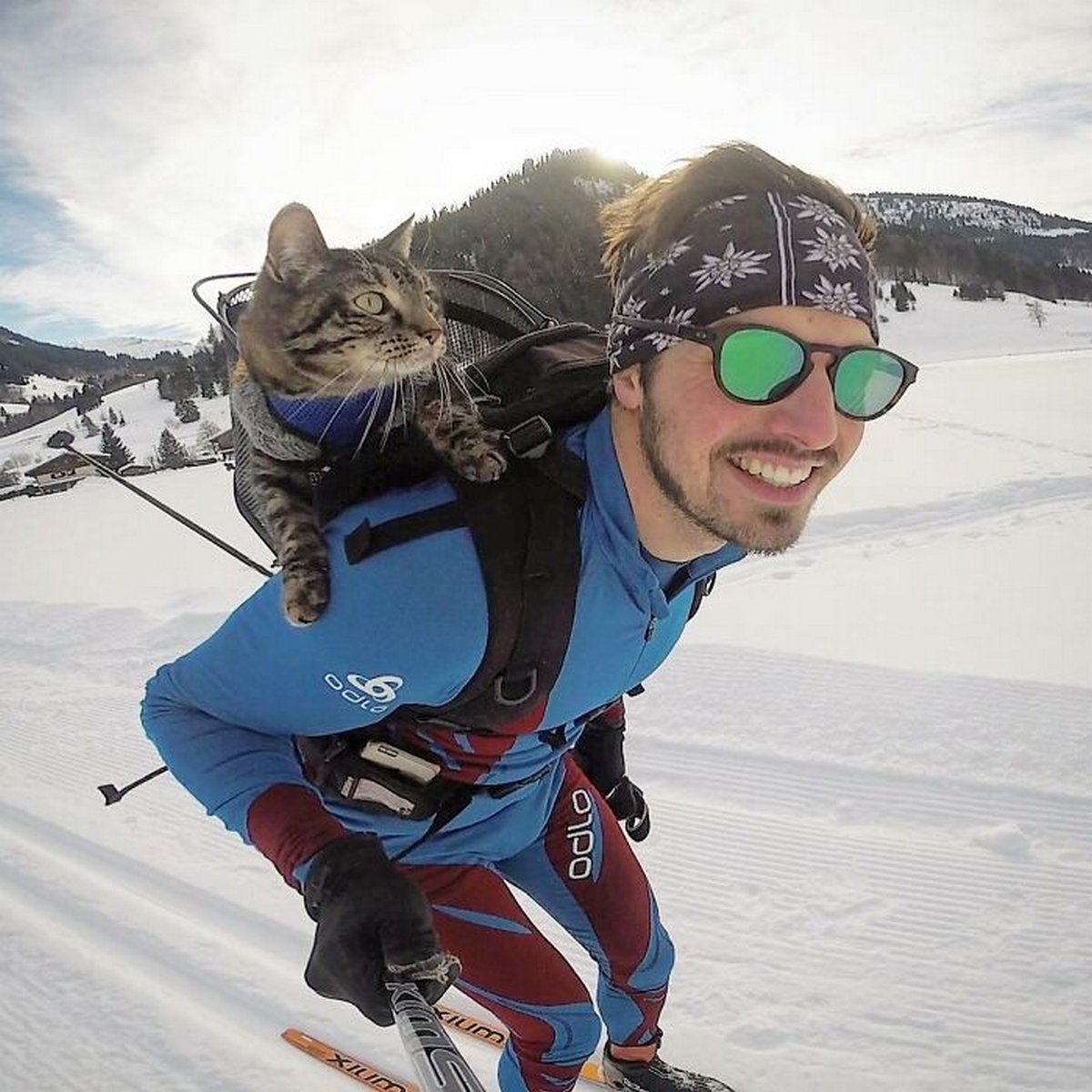 Cet homme emmène sa chatte partout où il va et ils vivent toutes sortes d’aventures ensemble