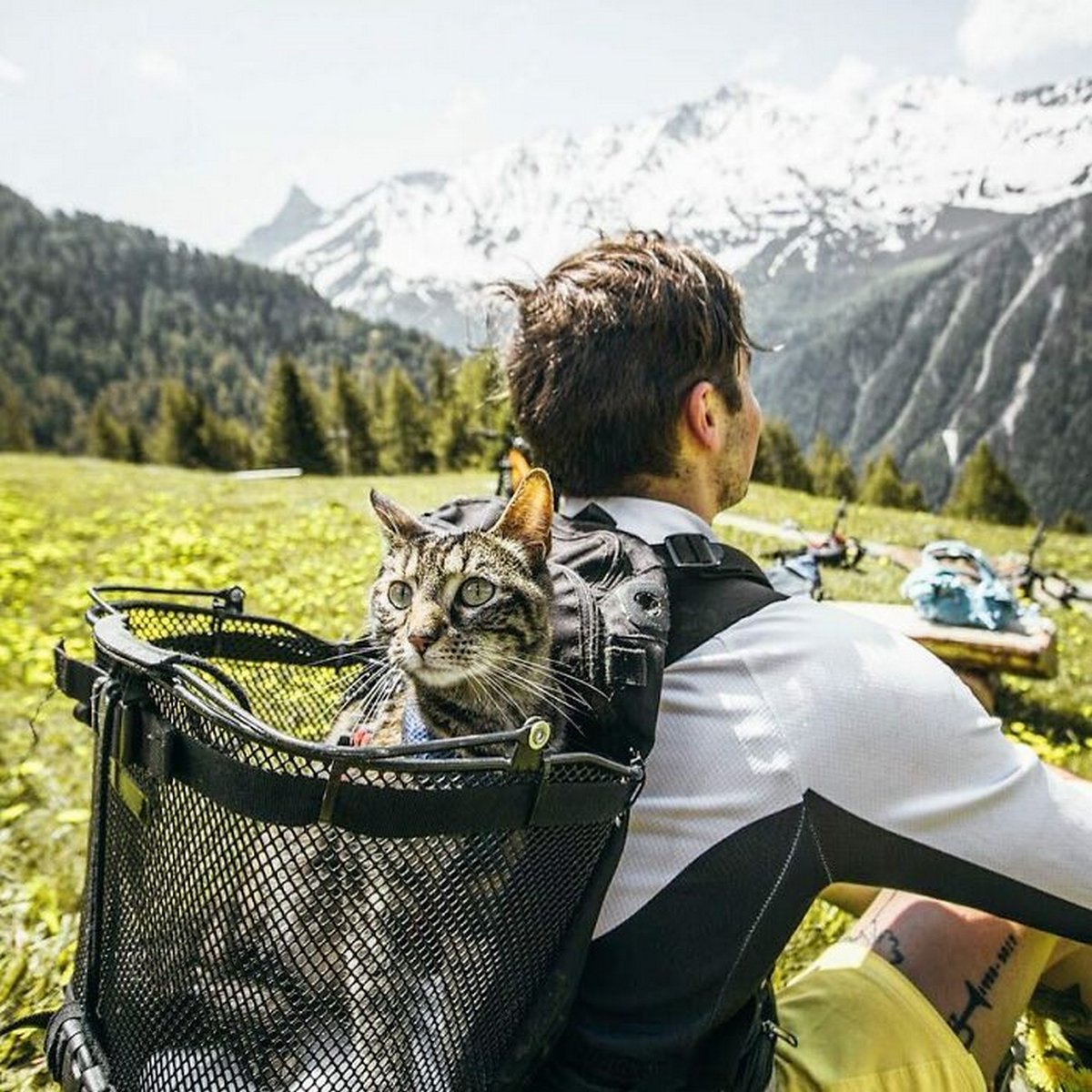 Cet homme emmène sa chatte partout où il va et ils vivent toutes sortes d’aventures ensemble