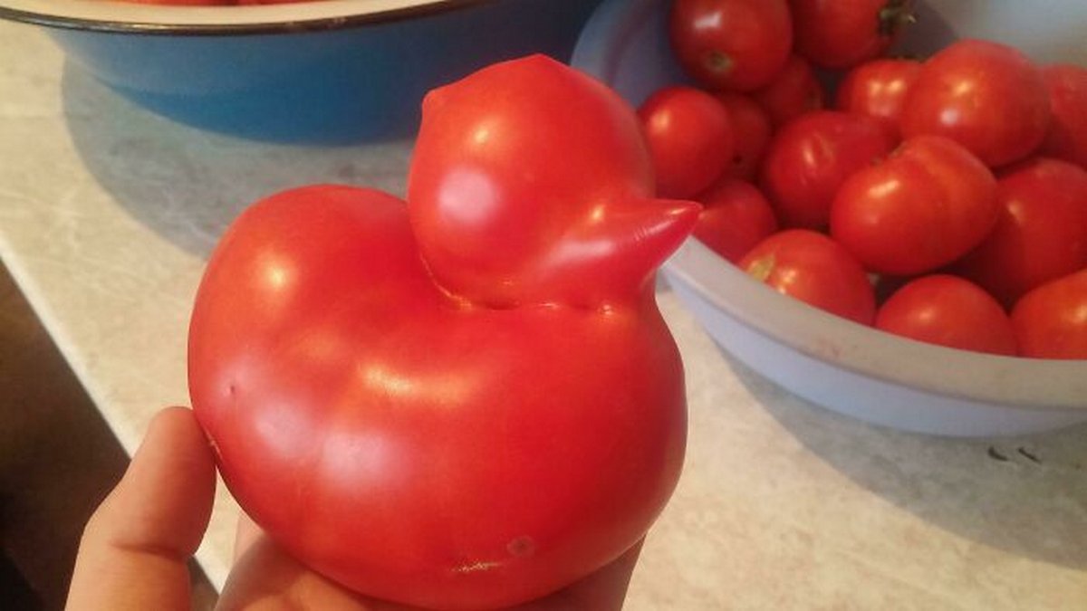 Ces gens ont vu des paréidolies dans des fruits et légumes et n’ont pas hésité à prendre une photo