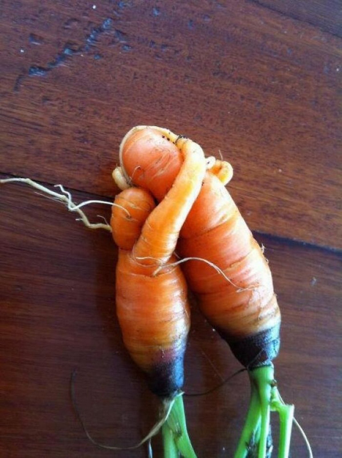 Ces gens ont vu des paréidolies dans des fruits et légumes et n’ont pas hésité à prendre une photo