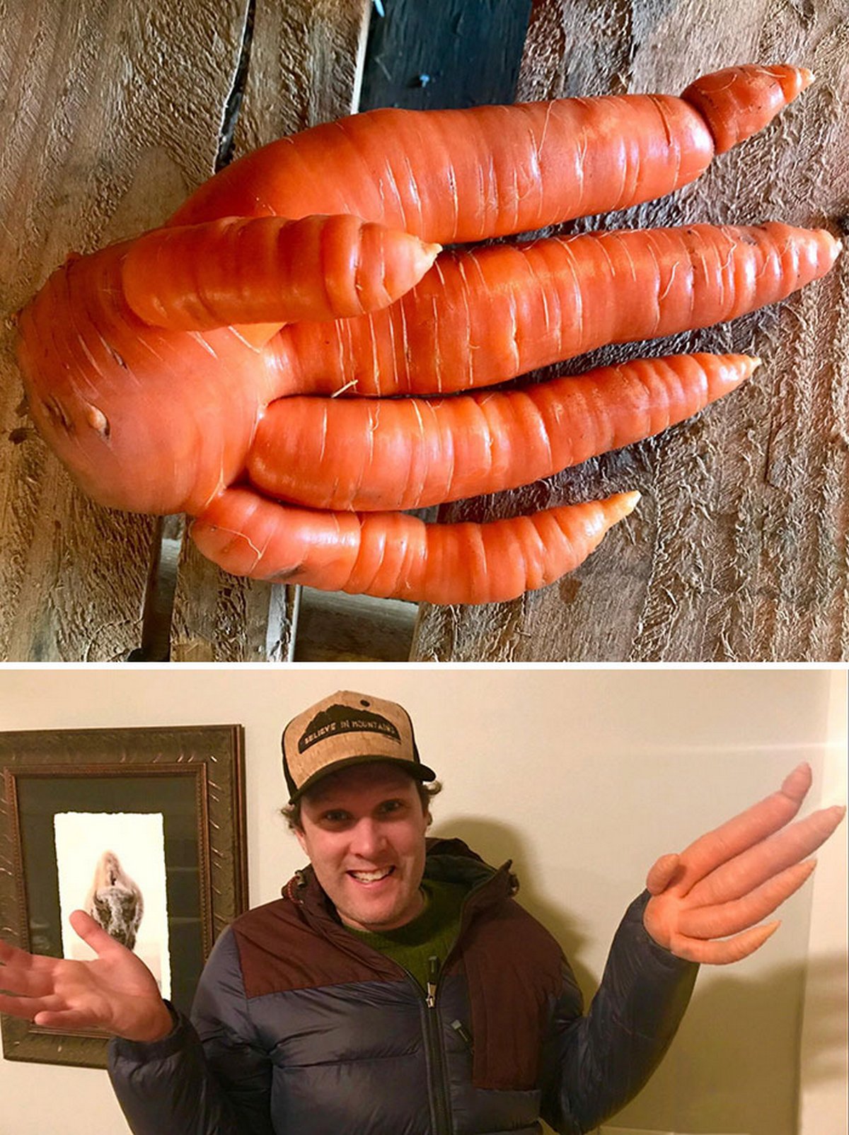 Ces gens ont vu des paréidolies dans des fruits et légumes et n’ont pas hésité à prendre une photo