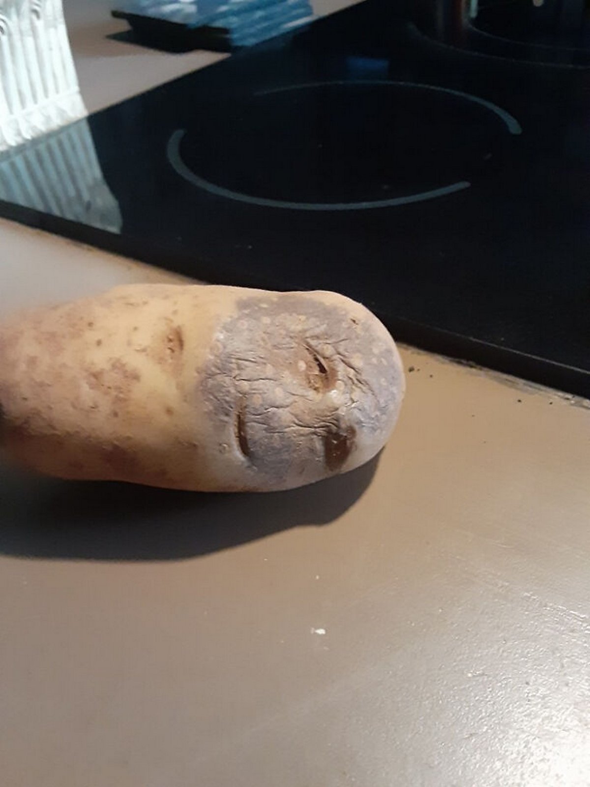 Ces gens ont vu des paréidolies dans des fruits et légumes et n’ont pas hésité à prendre une photo