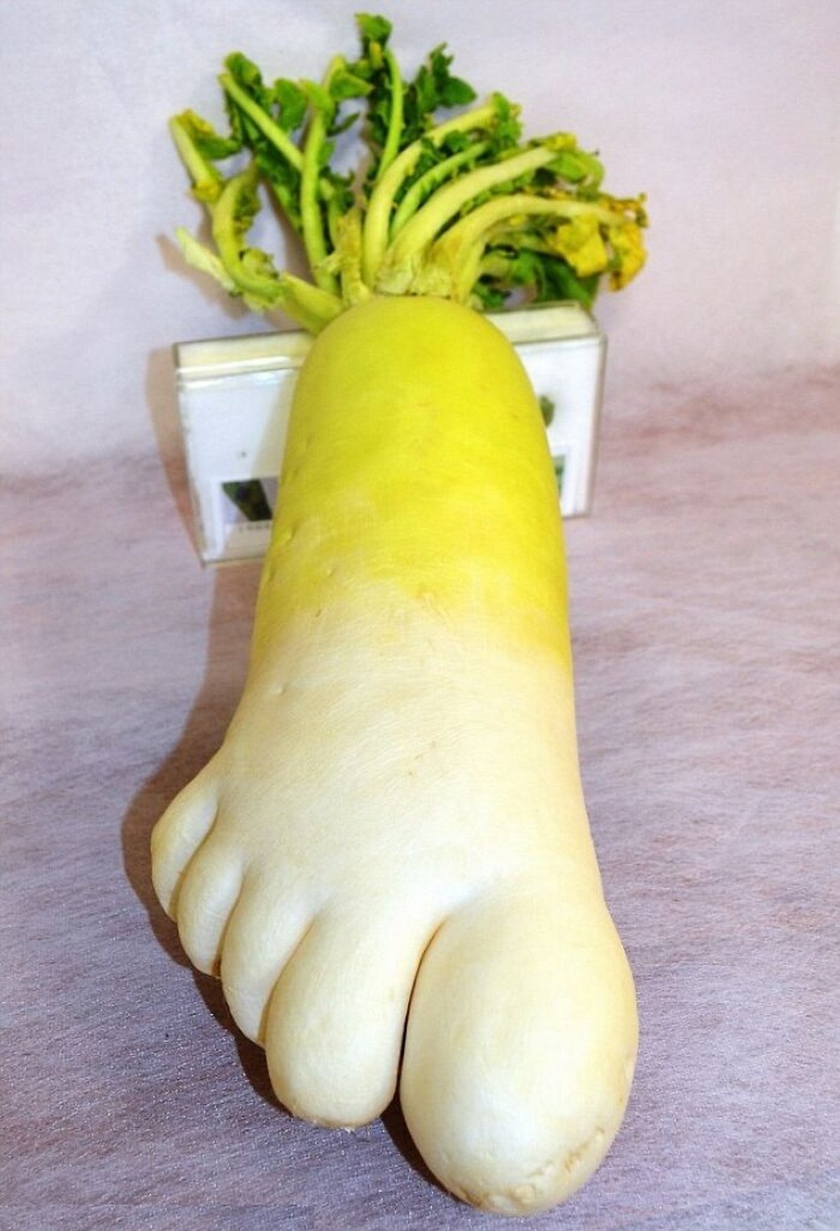 Ces gens ont vu des paréidolies dans des fruits et légumes et n’ont pas hésité à prendre une photo