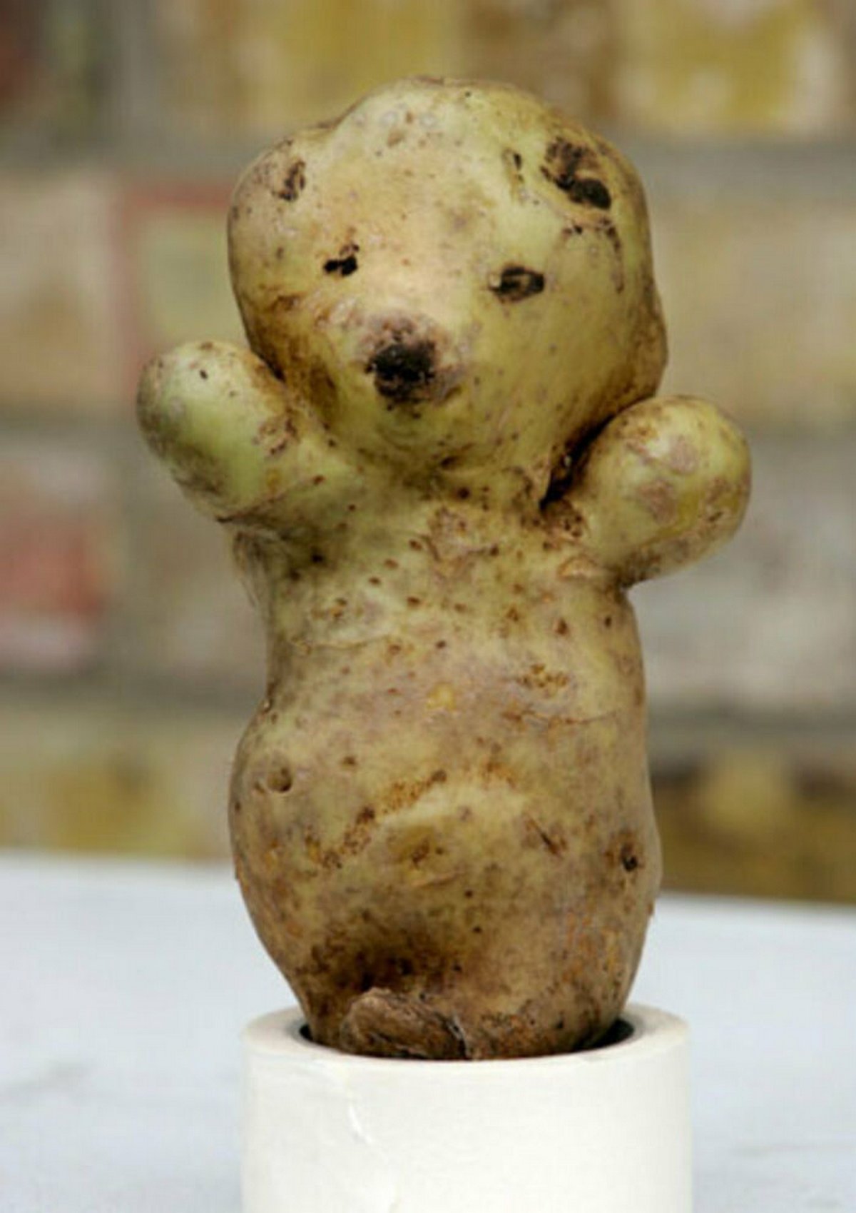 Ces gens ont vu des paréidolies dans des fruits et légumes et n’ont pas hésité à prendre une photo