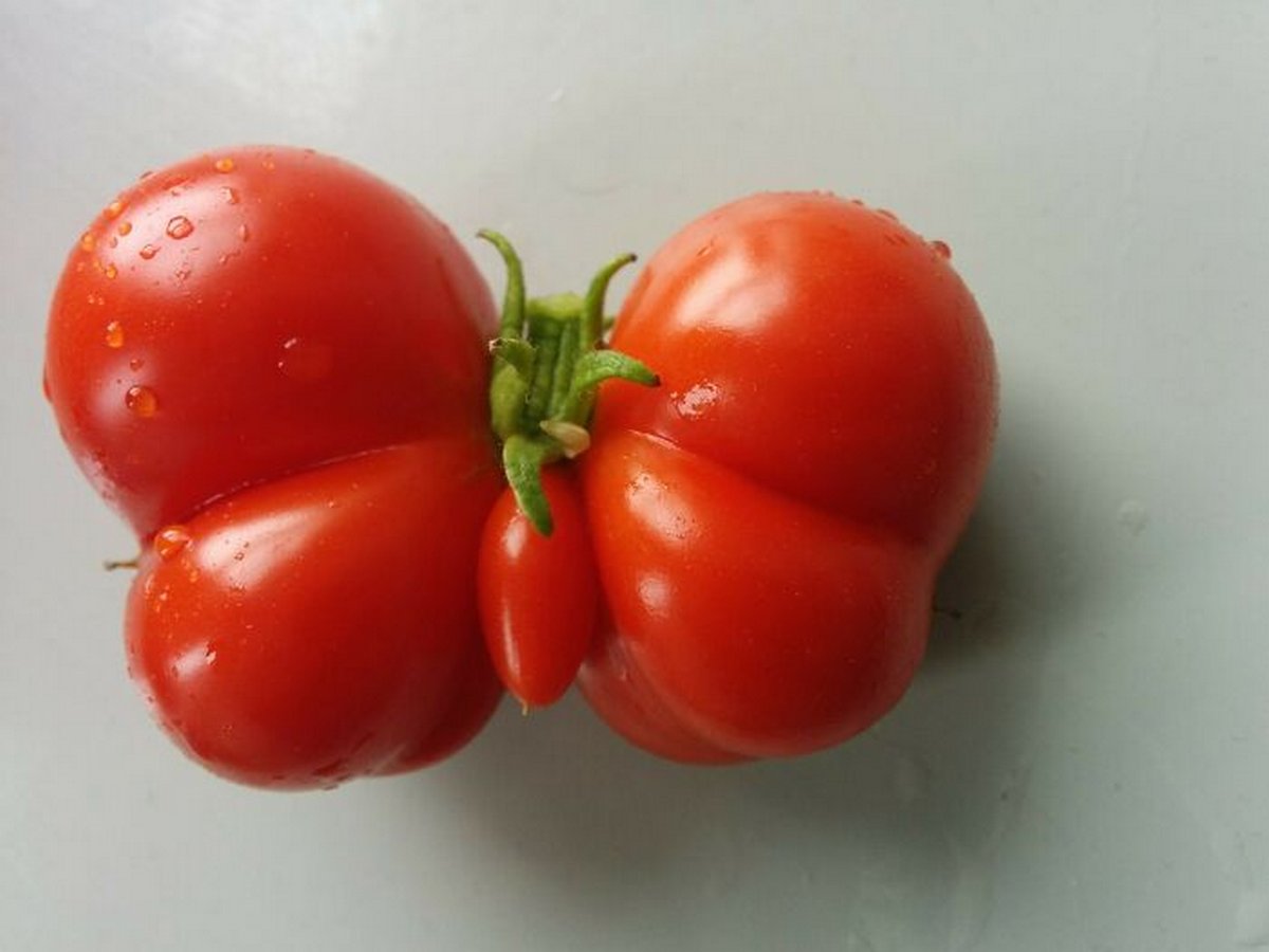 Ces gens ont vu des paréidolies dans des fruits et légumes et n’ont pas hésité à prendre une photo