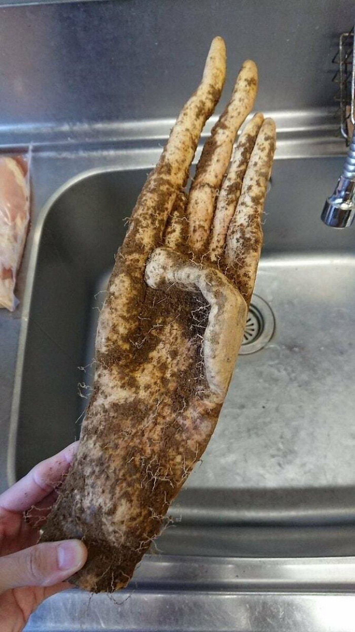 Ces gens ont vu des paréidolies dans des fruits et légumes et n’ont pas hésité à prendre une photo