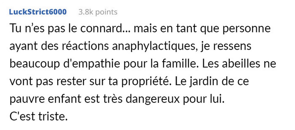 Des voisins s’opposent à un apiculteur qui refuse d’abandonner ses abeilles pour le bien de l’enfant allergique d’un voisin