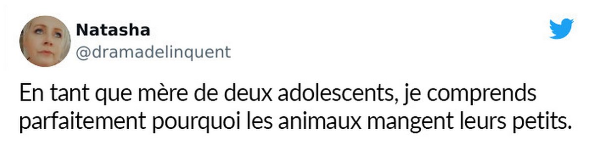 11 tweets hilarants par des parents qui élèvent des adolescents