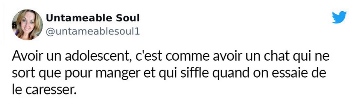 11 tweets hilarants par des parents qui élèvent des adolescents