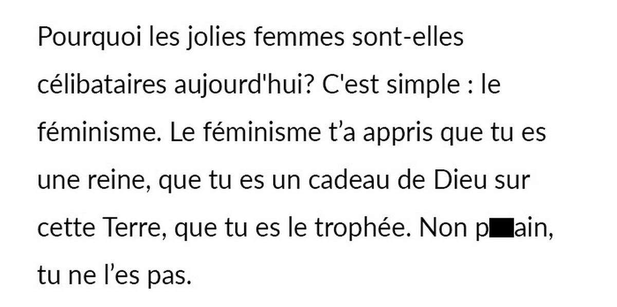 Un « mâle alpha » autoproclamé explique que les femmes sont célibataires à cause du féminisme et se fait démolir dans les commentaires