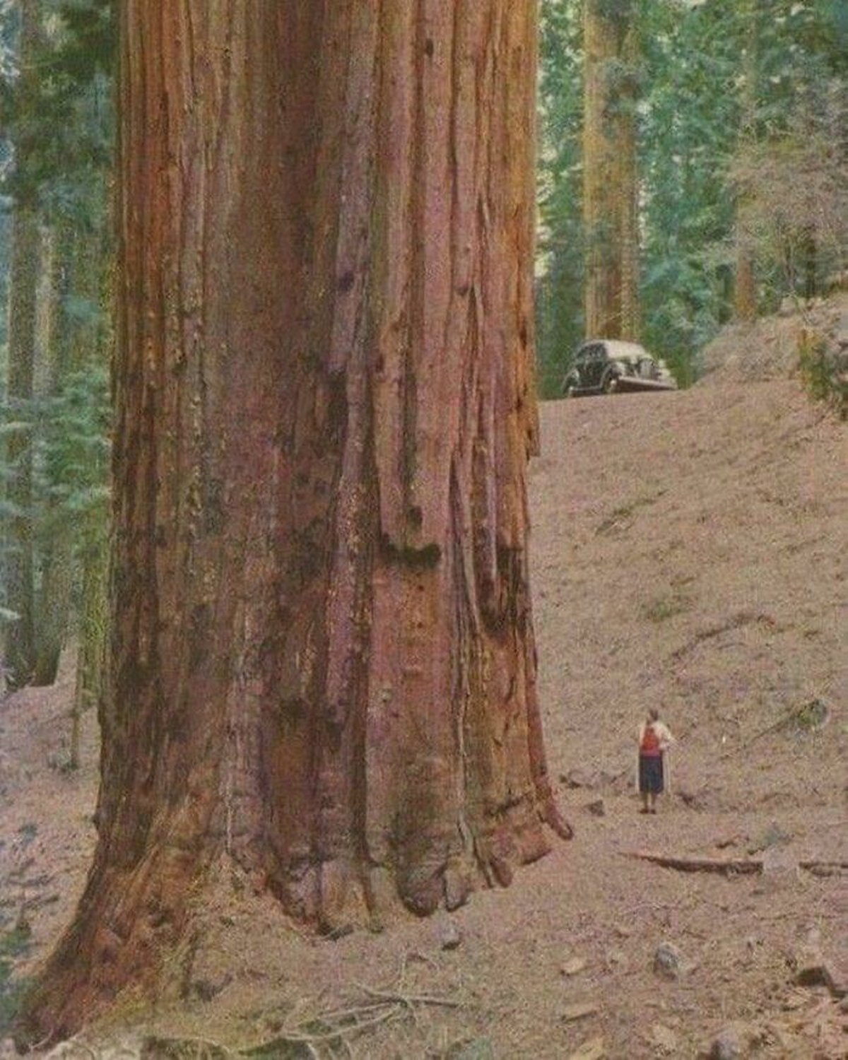 Ces photos de choses énormes vont faire peur aux personnes souffrant de mégalophobie ! Par Janvier Doyon Peur-grandes-choses-megalophobie-008