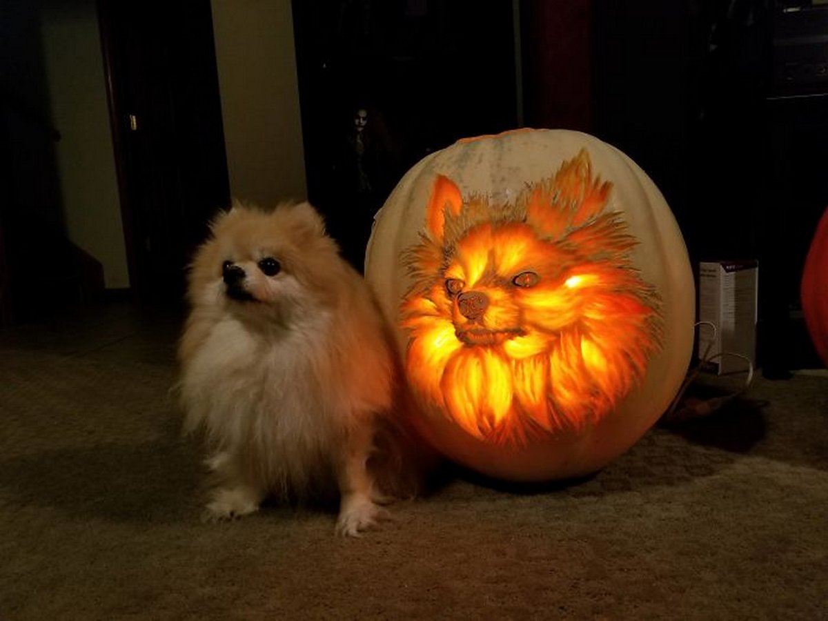 Ces gens ont porté la sculpture de citrouilles d’Halloween à un autre niveau