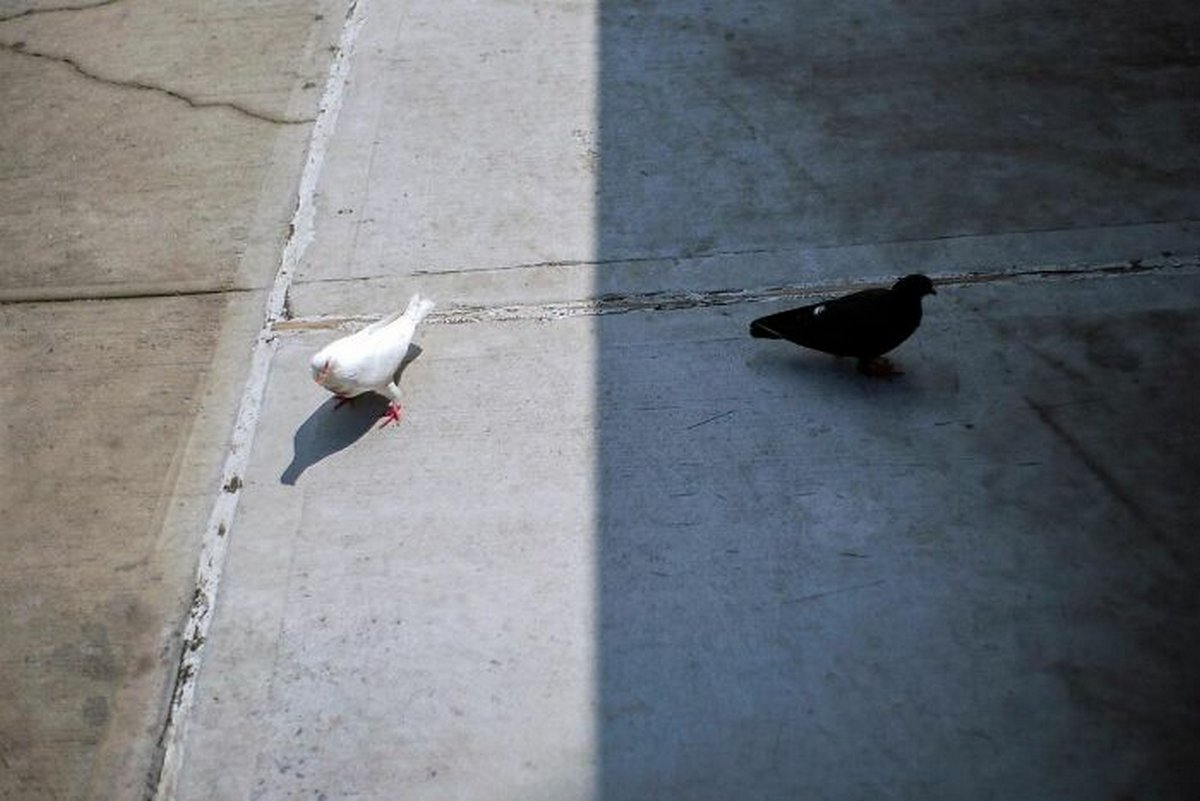 Ces photos montrent de curieuses coïncidences sur les trottoirs de New York