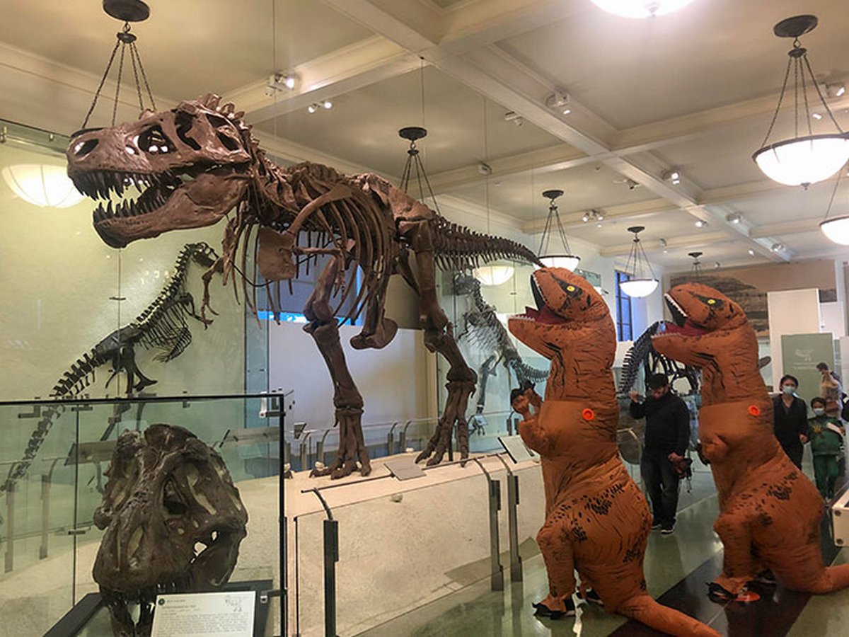 Ces gens ont décidé de s’amuser dans des musées et des galeries d’art