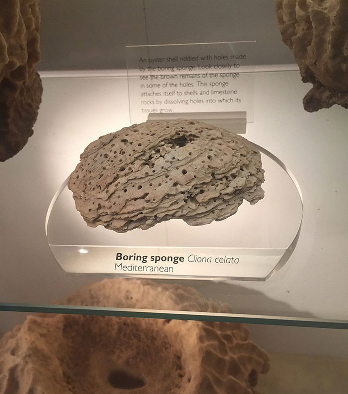 Ces gens ont décidé de s’amuser dans des musées et des galeries d’art