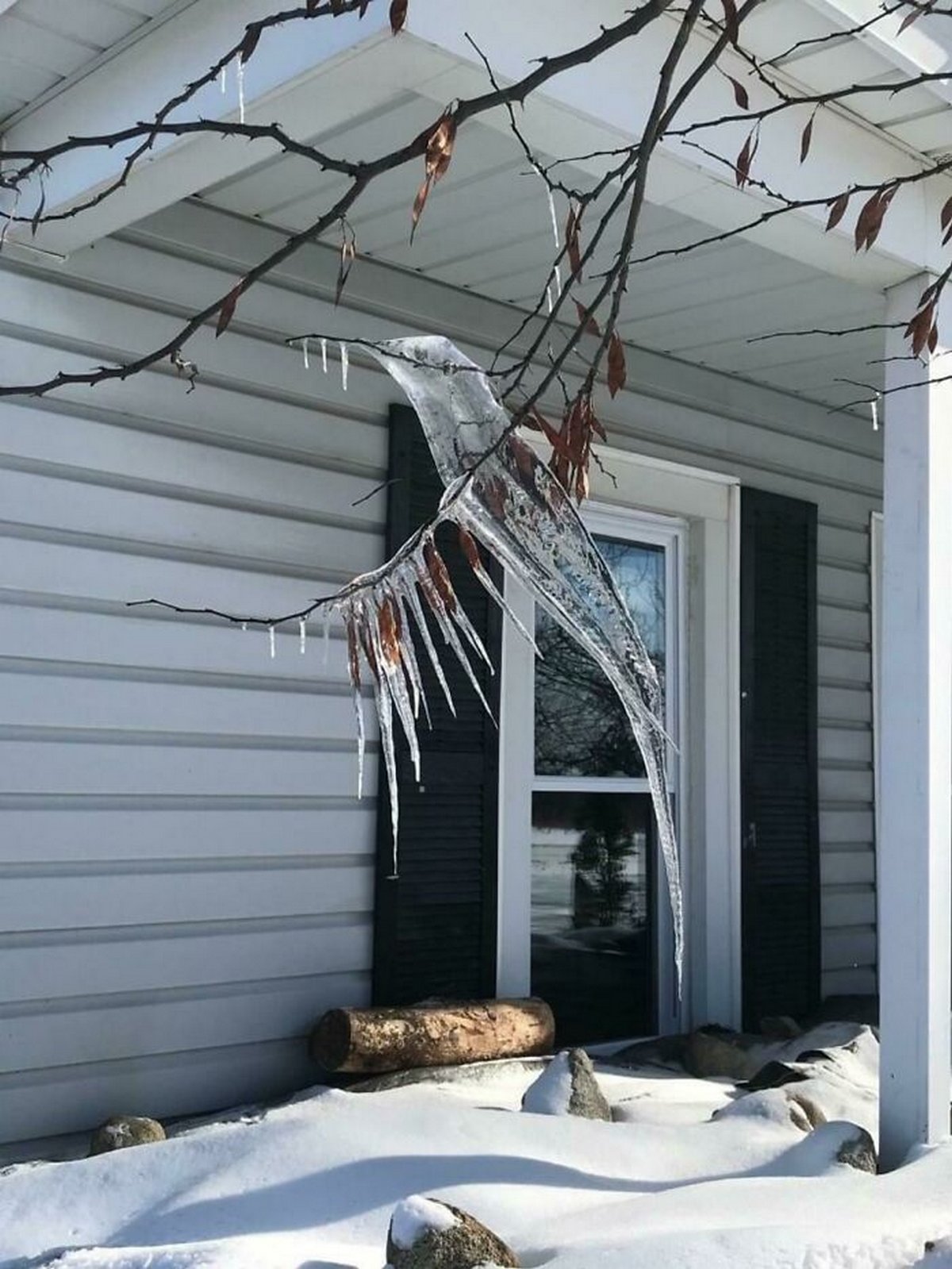 Ces photos d’hiver fascinantes montrent à quoi ressemble le vrai froid