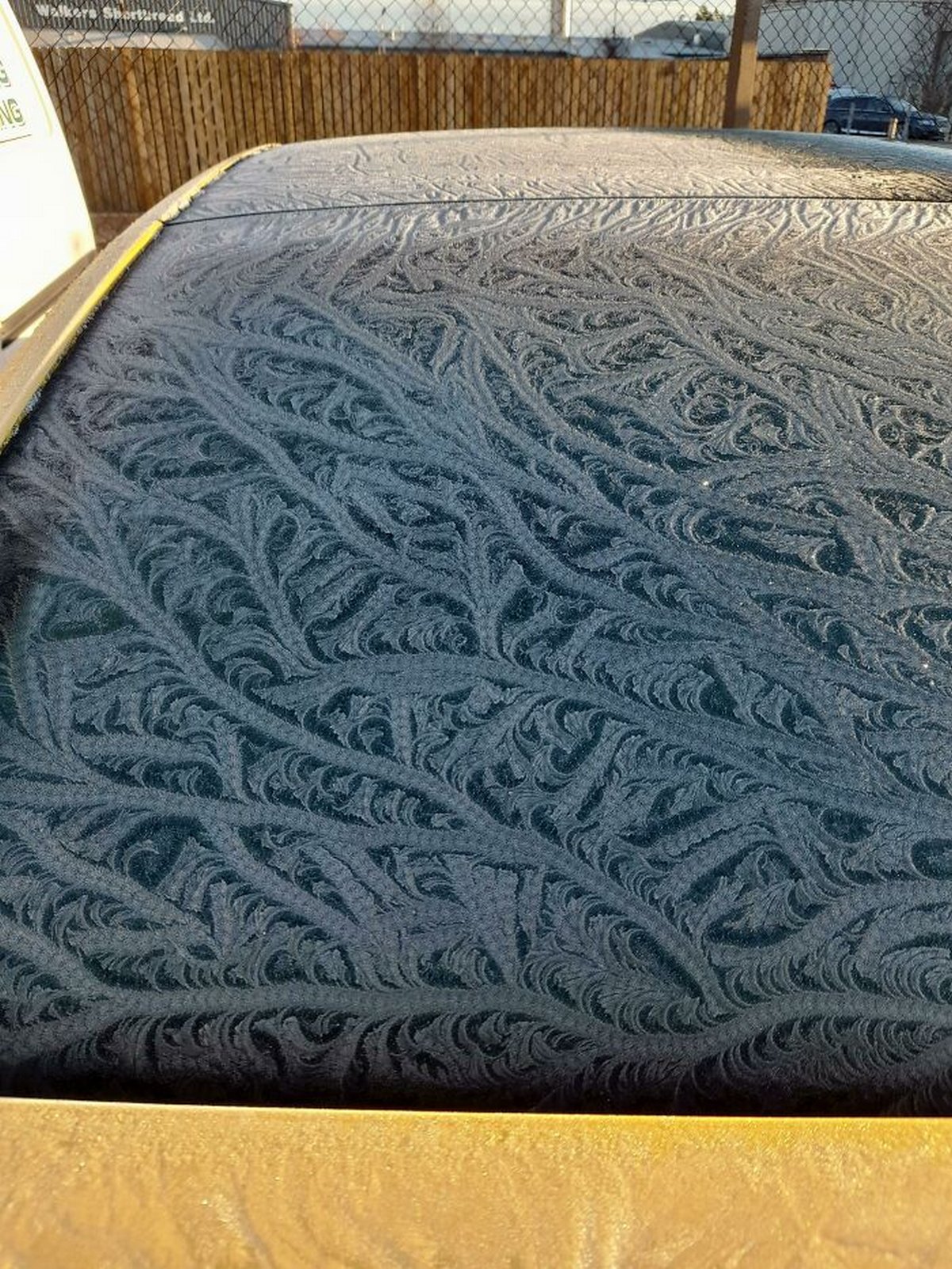 Ces photos d’hiver fascinantes montrent à quoi ressemble le vrai froid
