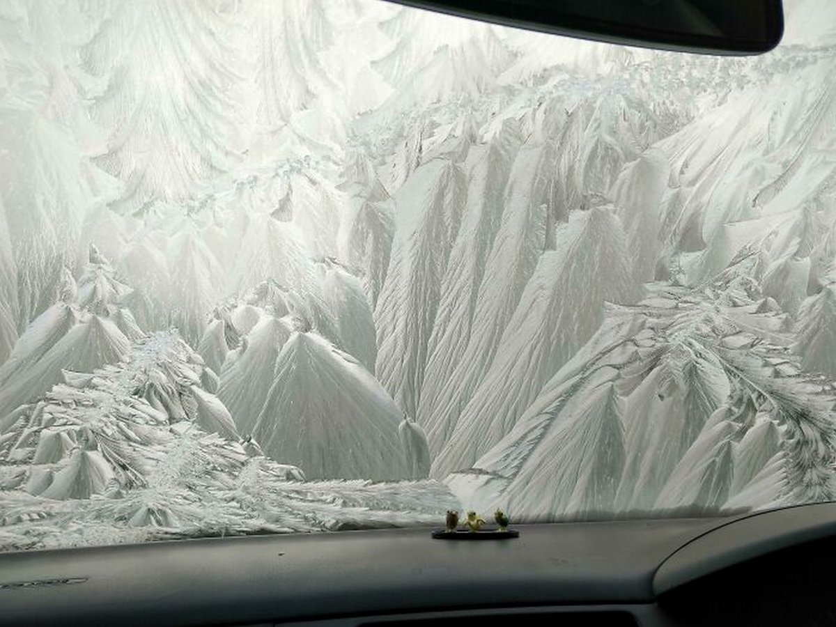 Ces photos d’hiver fascinantes montrent à quoi ressemble le vrai froid