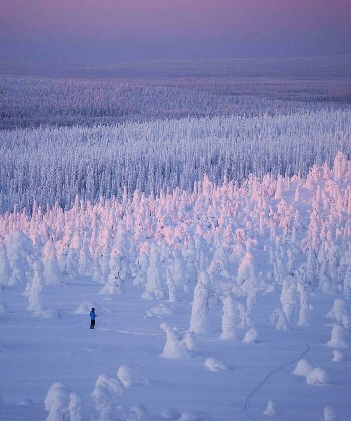 Ces photos d’hiver fascinantes montrent à quoi ressemble le vrai froid
