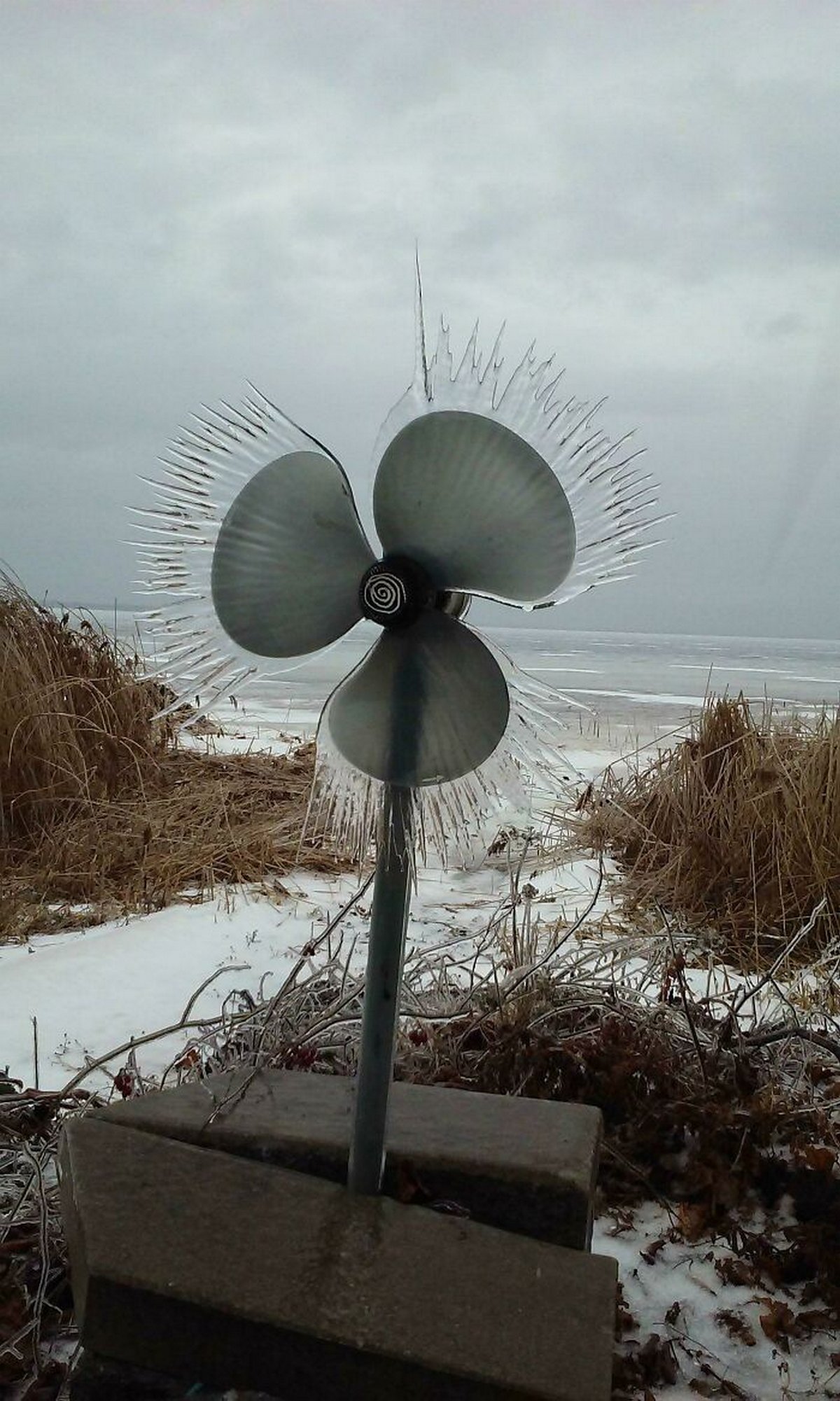 Ces photos d’hiver fascinantes montrent à quoi ressemble le vrai froid