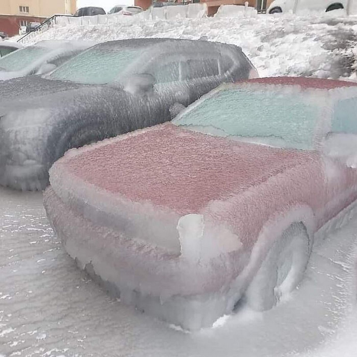 Ces photos d’hiver fascinantes montrent à quoi ressemble le vrai froid