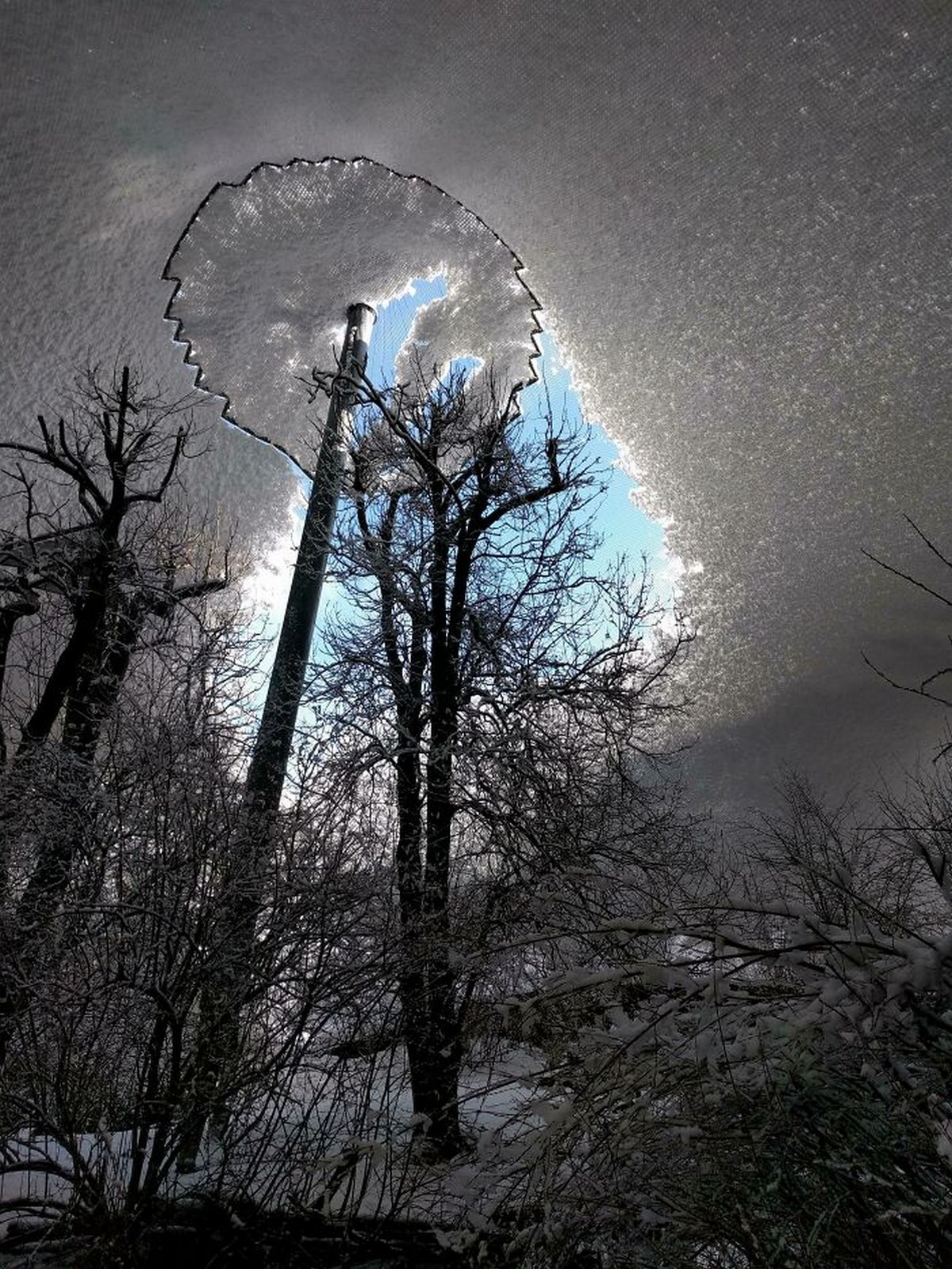Ces photos d’hiver fascinantes montrent à quoi ressemble le vrai froid