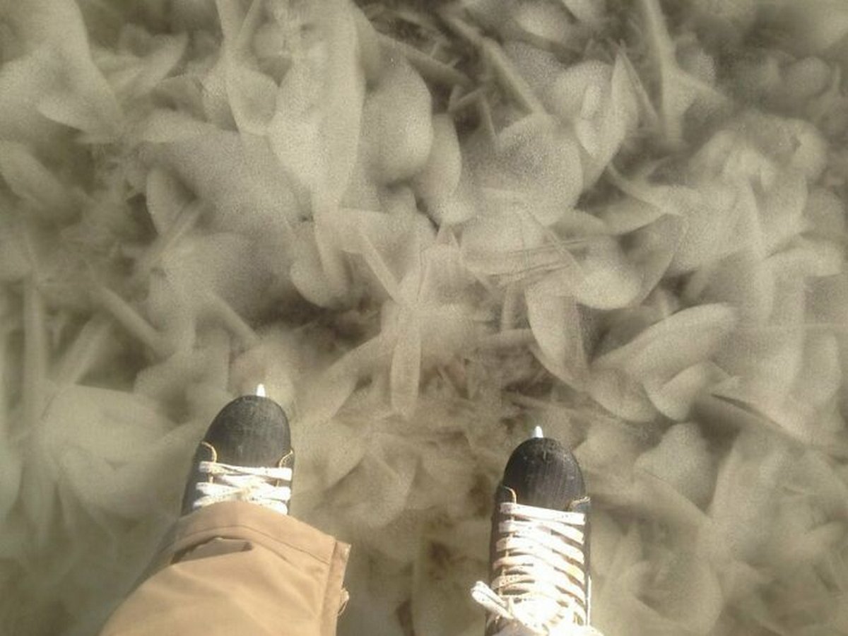 Ces photos d’hiver fascinantes montrent à quoi ressemble le vrai froid