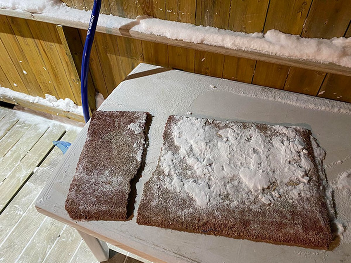 Ces photos d’hiver fascinantes montrent à quoi ressemble le vrai froid