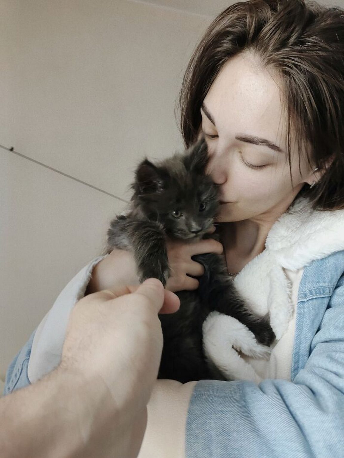 Voici Vincent, un chat Maine coon qui ressemble à une panthère noire et se comporte comme un